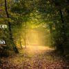 Vishakha New Moon