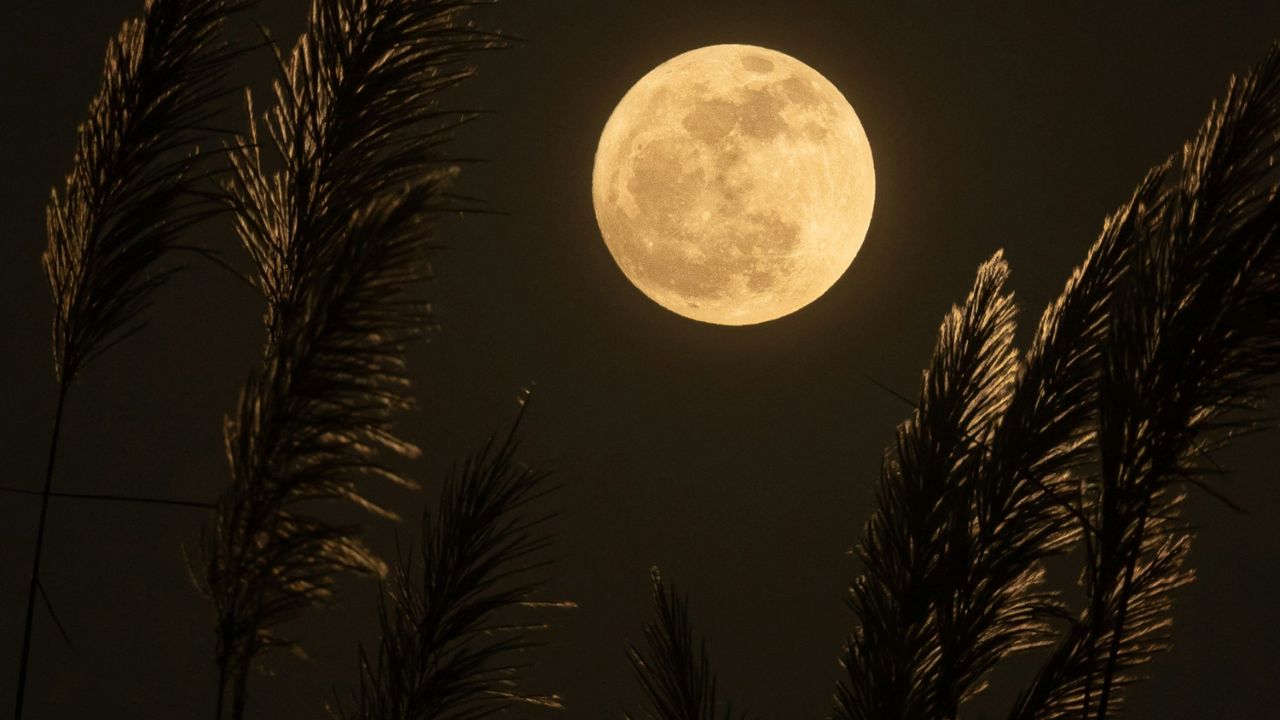 Learning the Lunar Mansions – Master Course on the Nakshatras