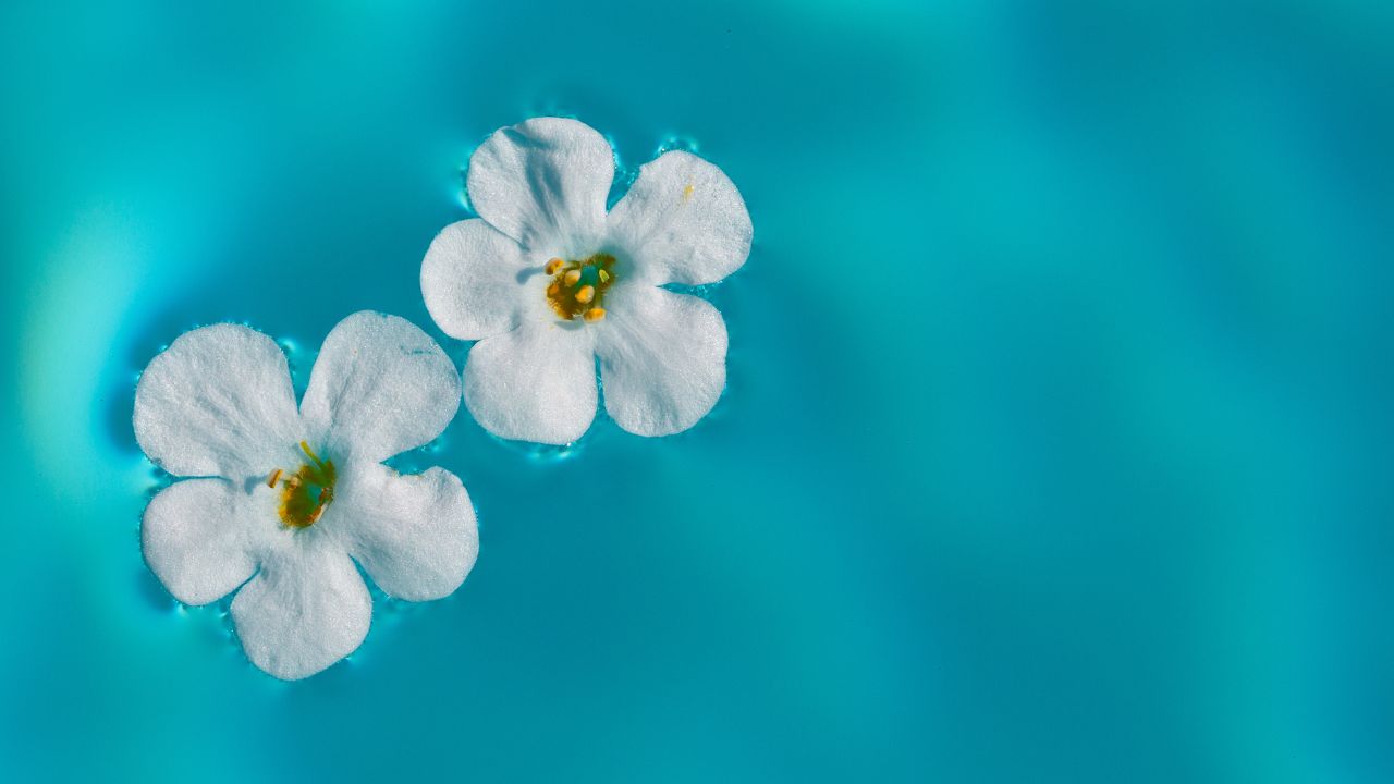 Magha