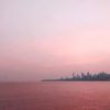 Punarvasu