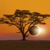 March 2025 Horoscopes
