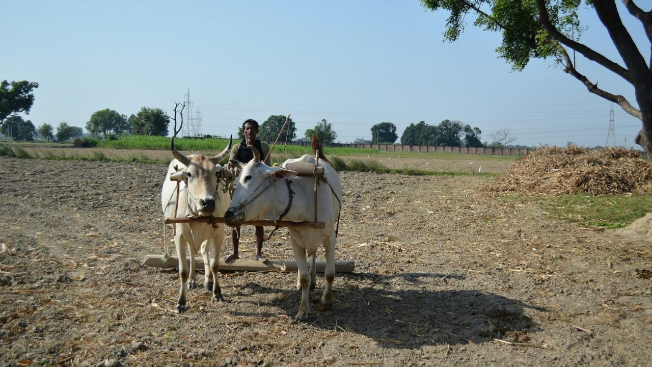 Vishakha