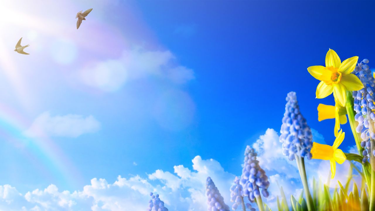 May 2025 Horoscopes