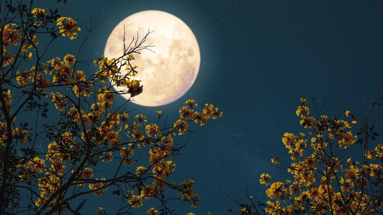 Moon Magick 2