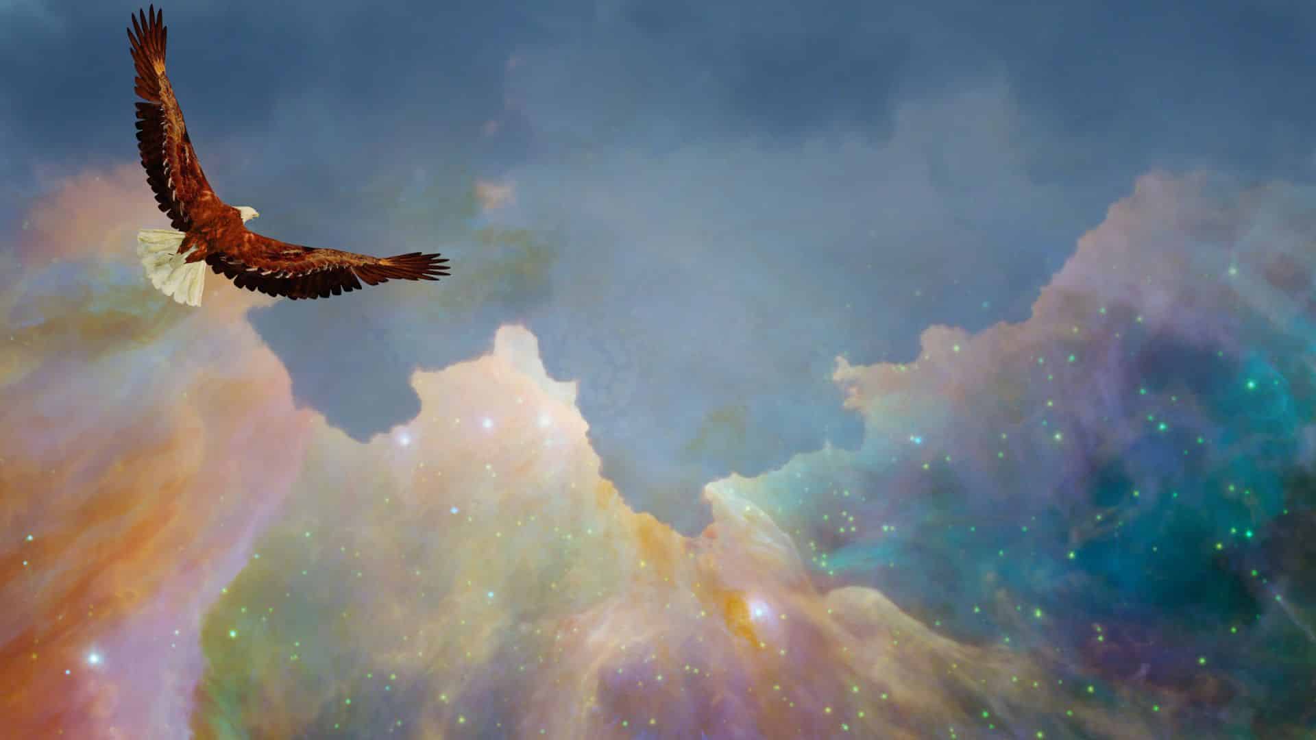 Freedom