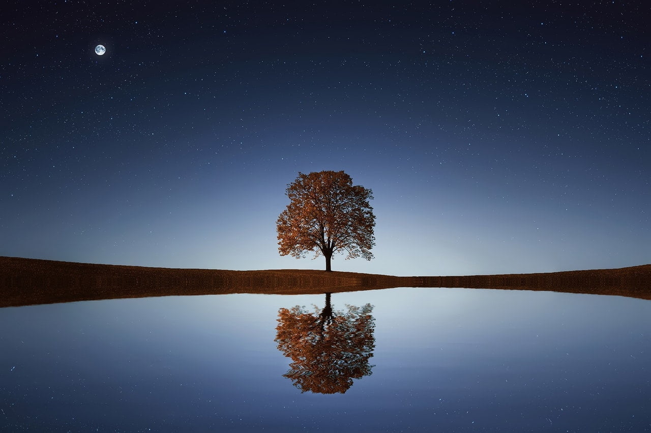 Live Webinar Course: Nakshatra Secrets 1