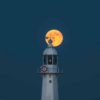 Purva Ashadha Full Moon