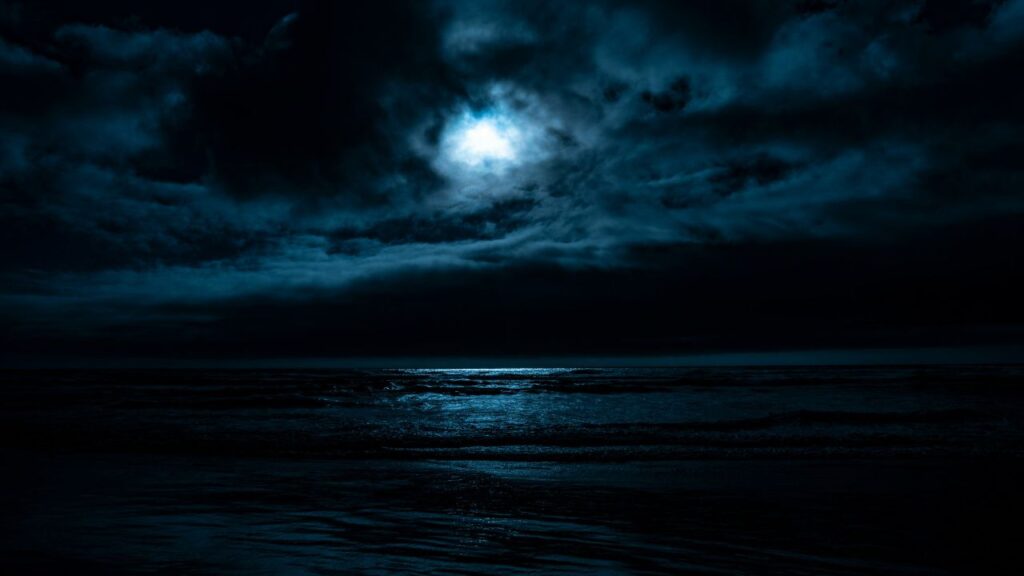 Untitled-design-5